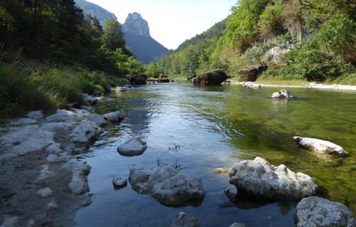 Am Tarn